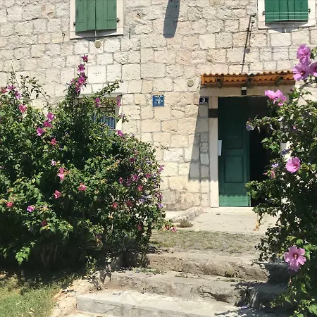 Guest house Nirvana &