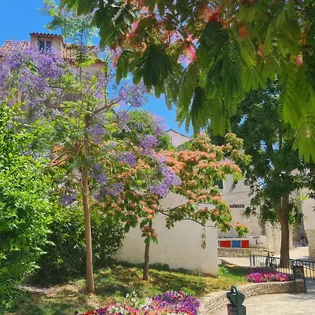 涅盘客房及公寓酒店 招待所 斯普利特