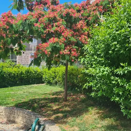 招待所 涅盘客房及公寓酒店 斯普利特