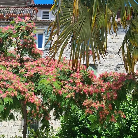 涅盘客房及公寓酒店 招待所