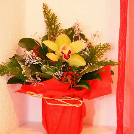 涅盘客房及公寓酒店 3*